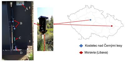 Field effects of oxygenated monoterpenes and estragole combined with pheromone on attraction of Ips typographus and its natural enemies